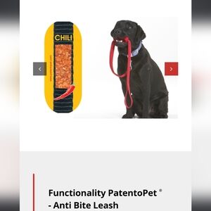 🐕‍🦺 Anti-Bite Nylon Dog Leash, 6 Ways To Use by Patento PET - New With Tags